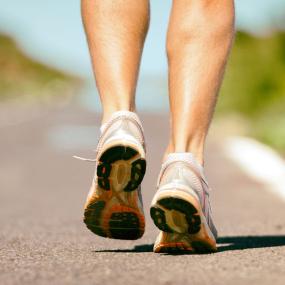 la leadership di forrest gump