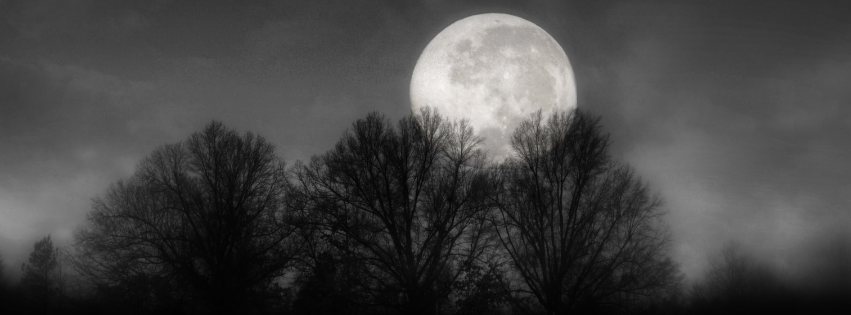 stregata dalla luna - incontro sciamanico al femminile