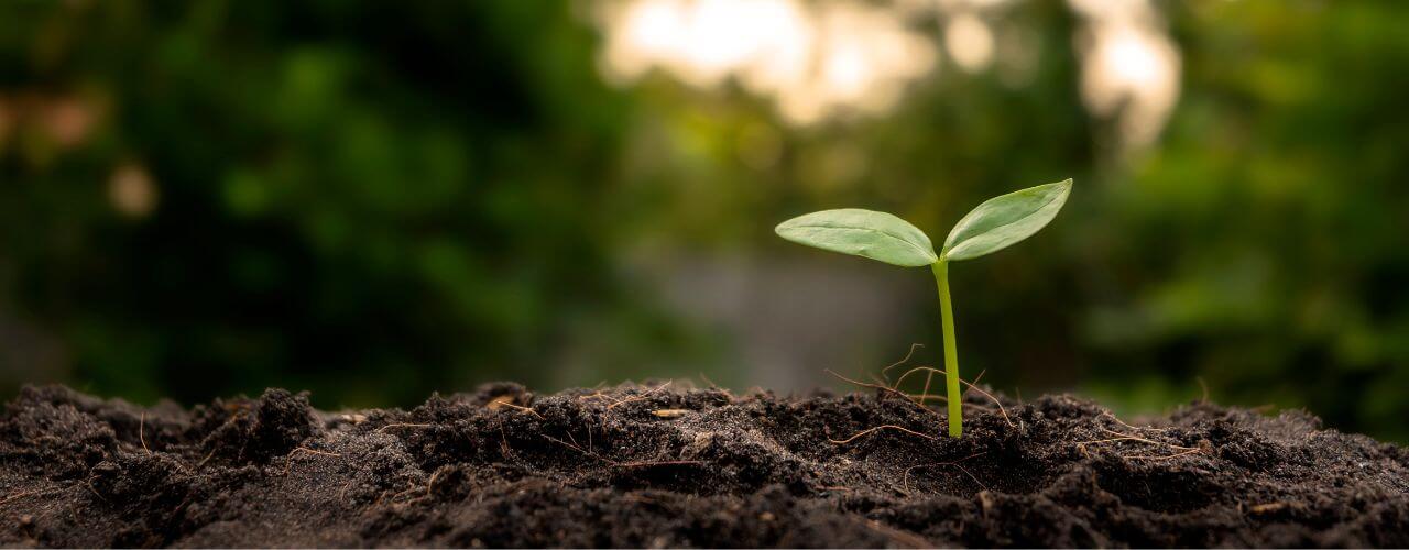 Oggi è il giorno dell'anno dedicato a Madre Terra e ho pensato di regalarti una meditazione che potrai usare non solo oggi ma tutte le volte che vorrai, da solo o in compagnia. amore a madre terra