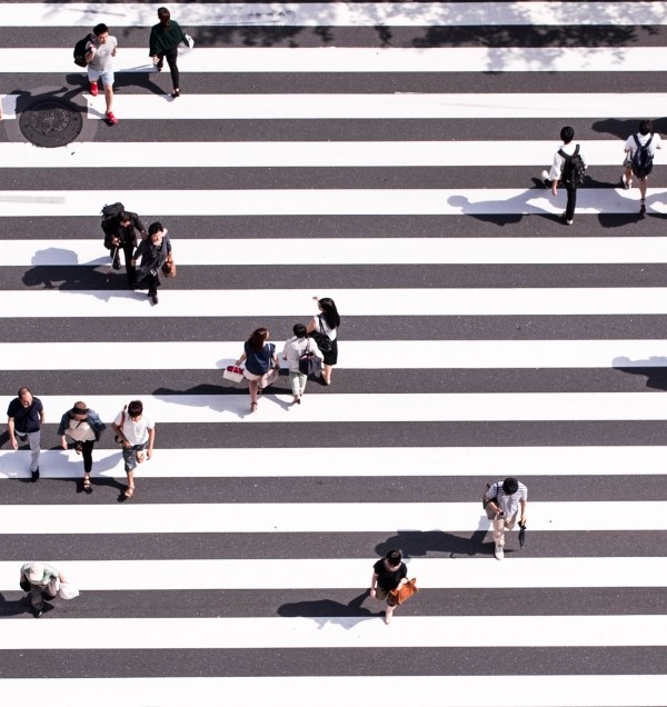fretta e meditazione