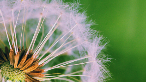 metti da parte la separazione e lasci fare a dio