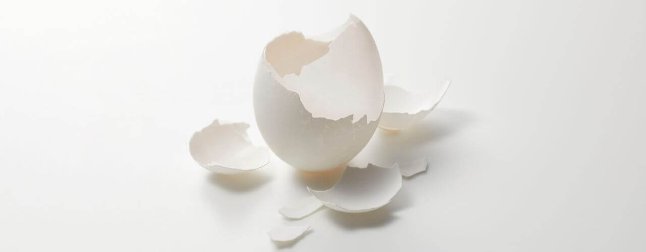 accogliere la fragilita