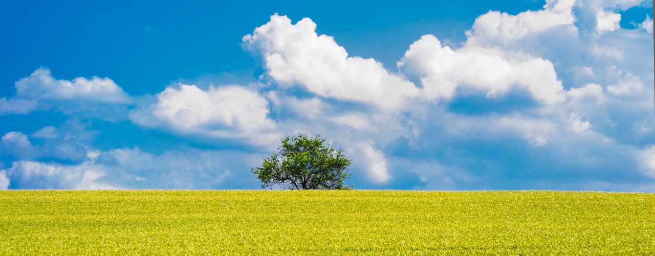 incontri tra terra e cielo