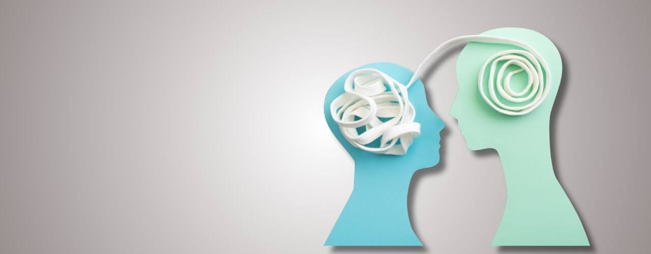 orgoglio pregiudizio e gratitudine