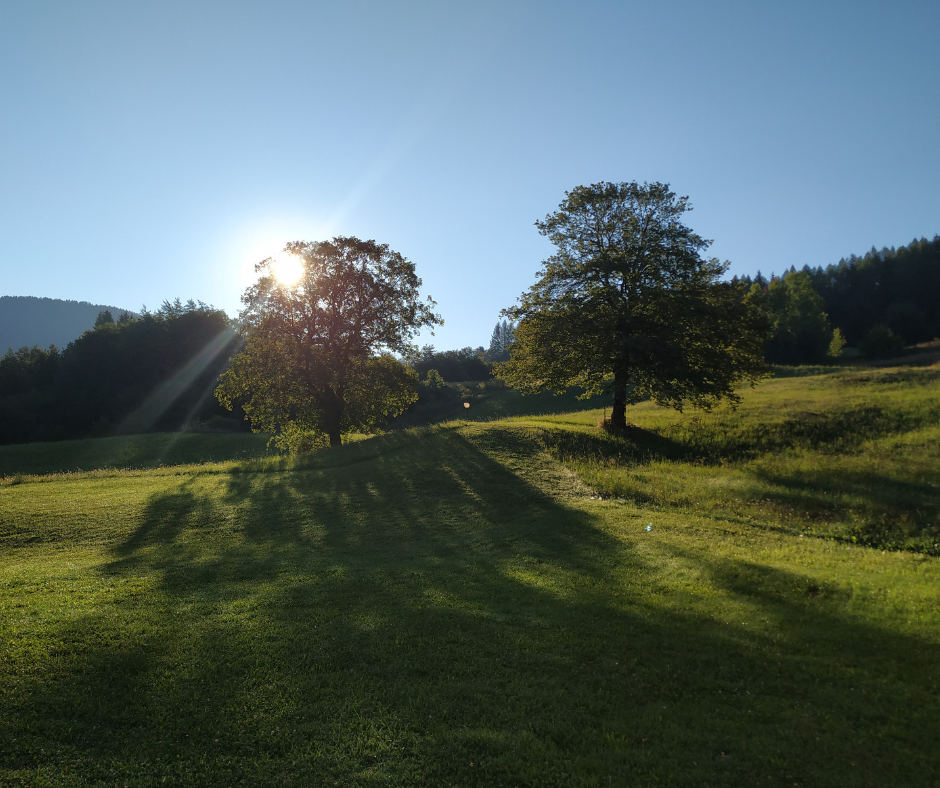 il mistero dell ombra - residenziale