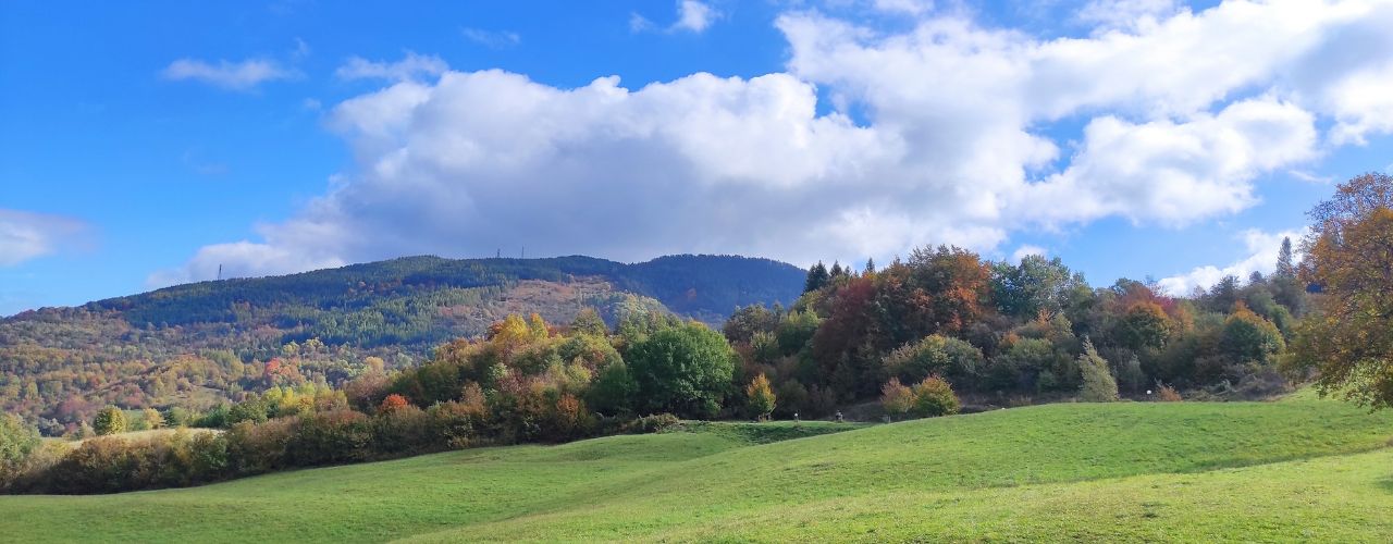 il mistero dell ombra - residenziale